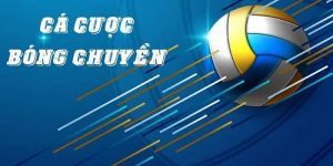 Cá Cược Bóng Chuyền Mẹo Chơi Bất Bại Từ Cao Thủ Lâu Năm