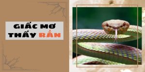 Nằm Mơ Thấy Rắn Có Tốt Không? Đánh Số Nào Để Nhận Lộc