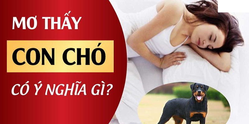 Bỏ túi lưu ý quan trọng sau mỗi giấc mơ