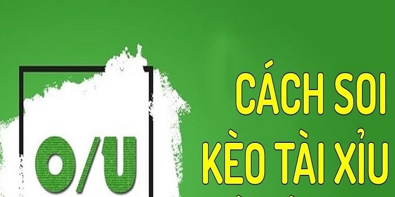 Tham gia cược với mức tiền phù hợp