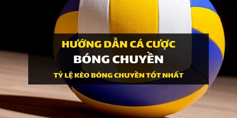 Tham khảo kết quả soi kèo bóng chuyền từ cao thủ