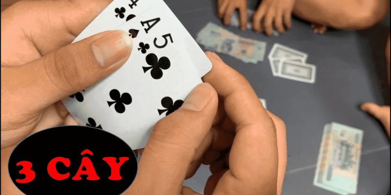 Xì tố 3 cây là trò chơi gì? 