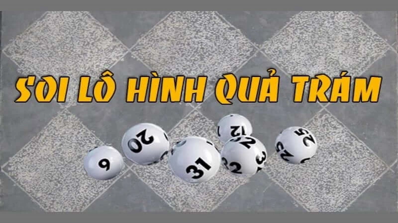 Cách soi cầu quả trám hiệu quả