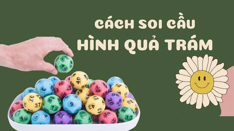 Sổ mơ quả trám chi tiết