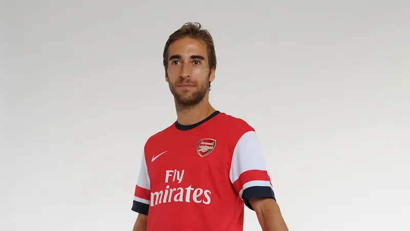 Mathieu Flamini