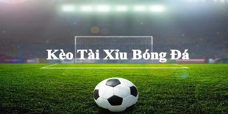 Cá cược bóng đá trực tiếp đôi bên cùng có lợi